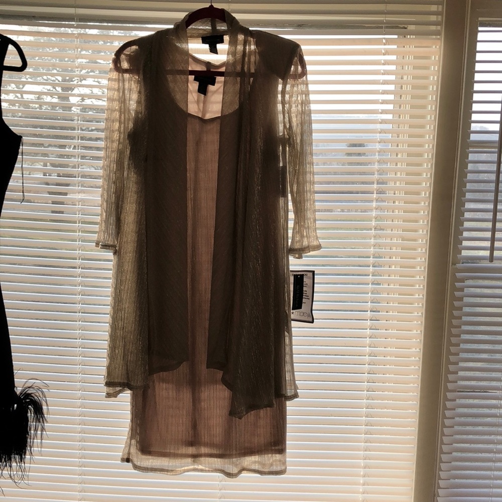Never worn, beautiful silver dress. Tags still on.